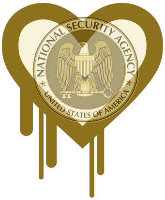 heartbleed-NSA