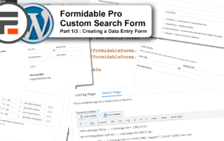 Formidable Pro Custom Search Form part 1