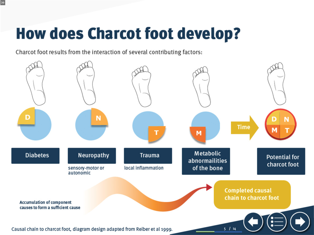 Diabetic Foot e-learning