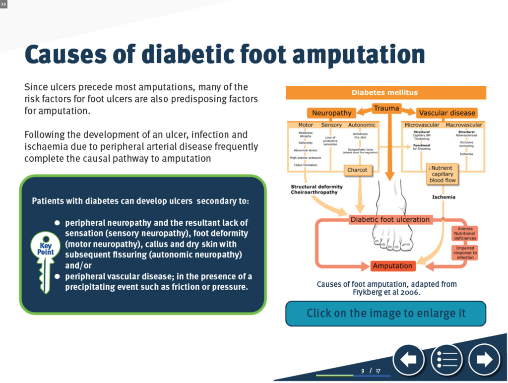 Diabetic Foot e-learning